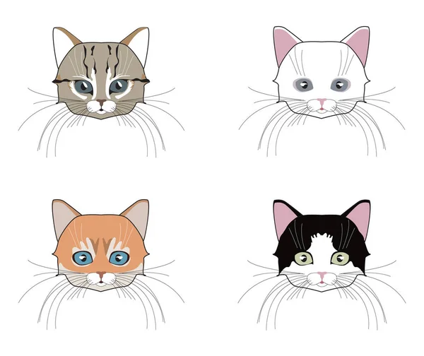 Conjunto Cabeças Gatos Gatinho Cara Bigodes Orelhas Focinho Ilustração Vetorial —  Vetores de Stock