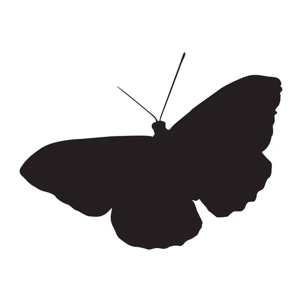 Conjunto Mariposas Vectoriales Silueta Mariposa Negro — Vector de stock