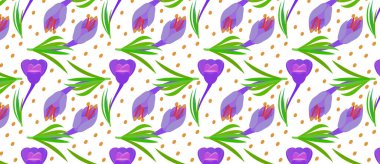 Crocus ve sarı daireli desen yeşil yapraklı mor çiçekler. Bahar çiçekleri