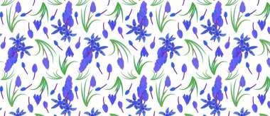 Bitki scilla ile desen. Sibirya Squill Scilla Siberica 'sı. Yapraklı bahar çiçeği ve izole vektör çizimi.