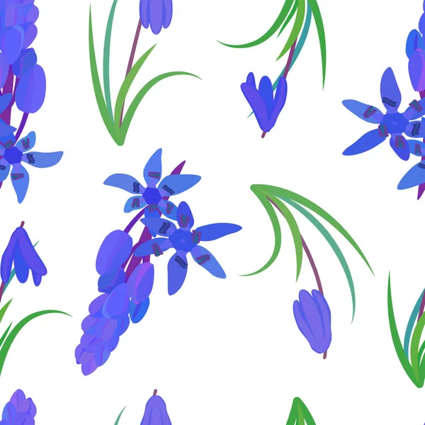 Motif Avec Scilla Plante Squill Sibérie Scilla Siberica Fleur Printemps — Image vectorielle