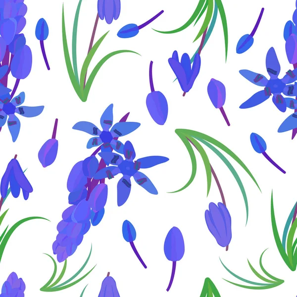 Motif Avec Scilla Plante Squill Sibérie Scilla Siberica Fleur Printemps — Image vectorielle