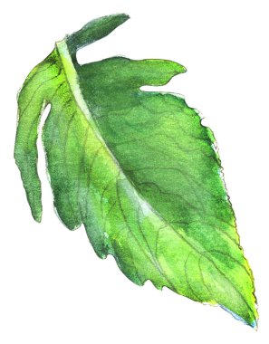 Çiçekleri kabarık arkaplanda yalıtılmış bırak.