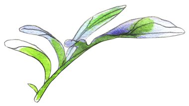 Çiçekleri kabarık arkaplanda yalıtılmış bırak.