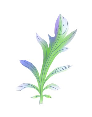 Çiçekleri kabarık arkaplanda yalıtılmış bırak.