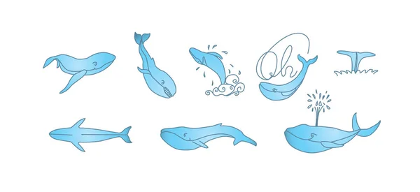 Blue Whales Set Whales Vector Hand Drawn Illustration Isolation White — Stock Vector