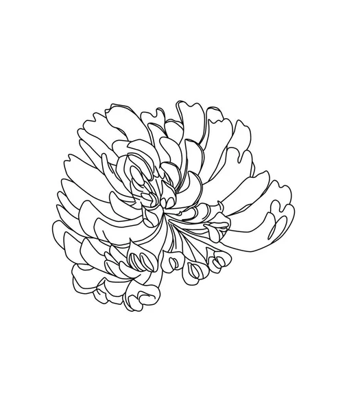 花のクローバーだ 情報グラフィック ポスター ウェブのためのブラックベクトル彫刻イラスト 白地に隔離された — ストックベクタ