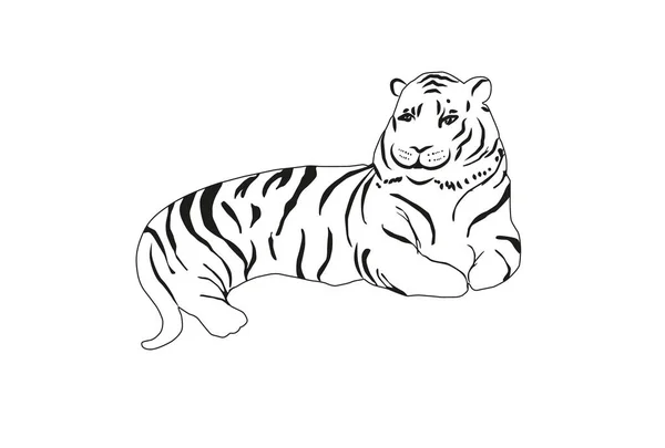 Handtekening Tijger Illustratie Vector — Stockvector