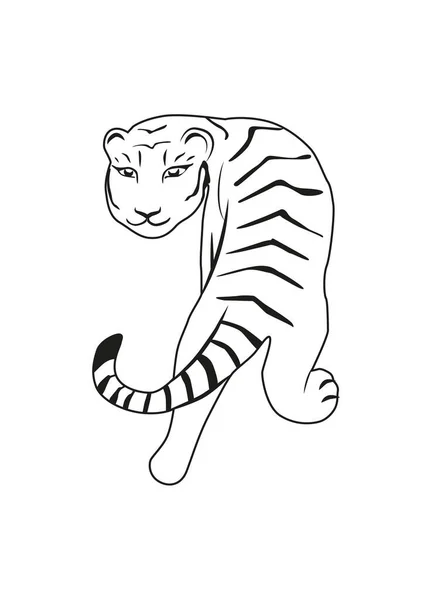 Tigern Går Och Vänder Tillbaka Hand Ritning Tiger Illustration Vektor — Stock vektor