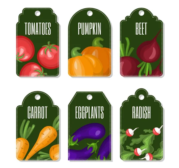 Ensemble Modèles Étiquettes Avec Des Légumes Étiquettes Vectorielles Pour Agriculture — Image vectorielle