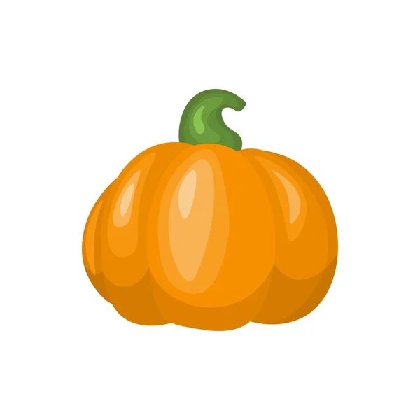 Tecknad Pumpa Hösthalloween Eller Thanksgiving Pumpa Höstskörd Squash Och Kalkgryn — Stock vektor