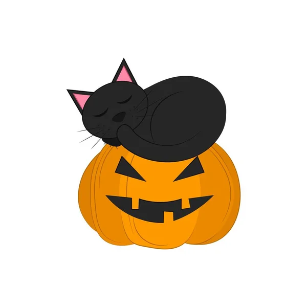 Gato Negro Con Calabaza Aislada Sobre Fondo Blanco Objeto Para — Vector de stock