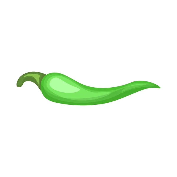Green Hot Chili Pepper Pod Image Vector Illustration Design Grocery — Stock Vector