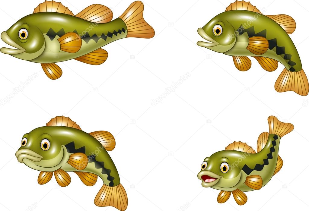 Cartoon funny bass fish collection isolated on white background