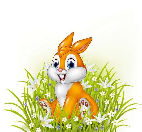 Kreskówka królik na trawa tło — Wektor stockowy