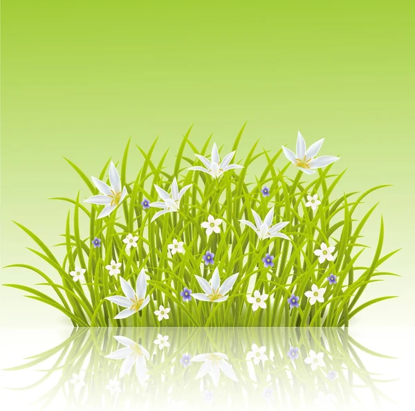 Ilustración de fondo de hierba de primavera — Vector de stock