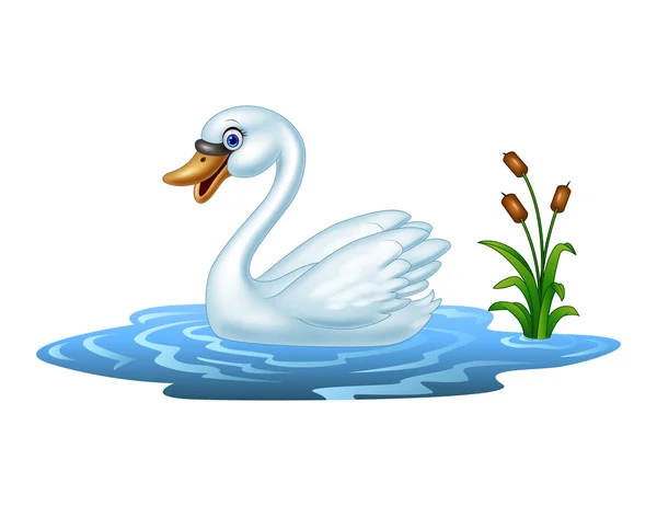 Cartoon beauty swan floats on water — Stock Vector