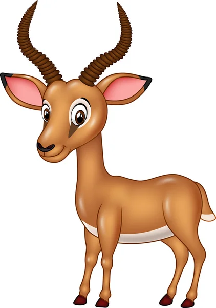 Cartoon funny impala isolated on white background Royalty Free Stock Illustrations