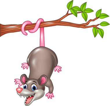 Cartoon funny Opossum on a Tree Branch