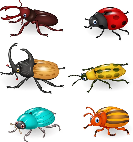Cartone animato divertente collezione di scarabei — Vettoriale Stock