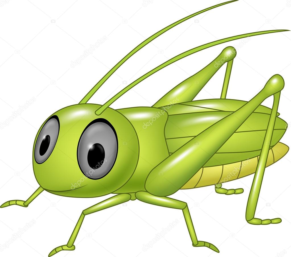 Cute grasshopper posing isolated on white background