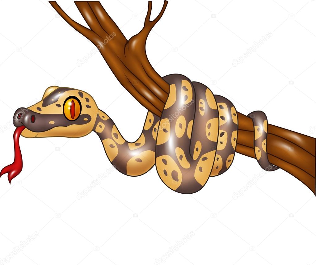 Serpent Dessin Anime Sur Une Branche D Arbre Image Vectorielle Par Tigatelu C Illustration Serpent Dessin Anime Sur Une Branche D Arbre Image Vectorielle Par Tigatelu C Illustration