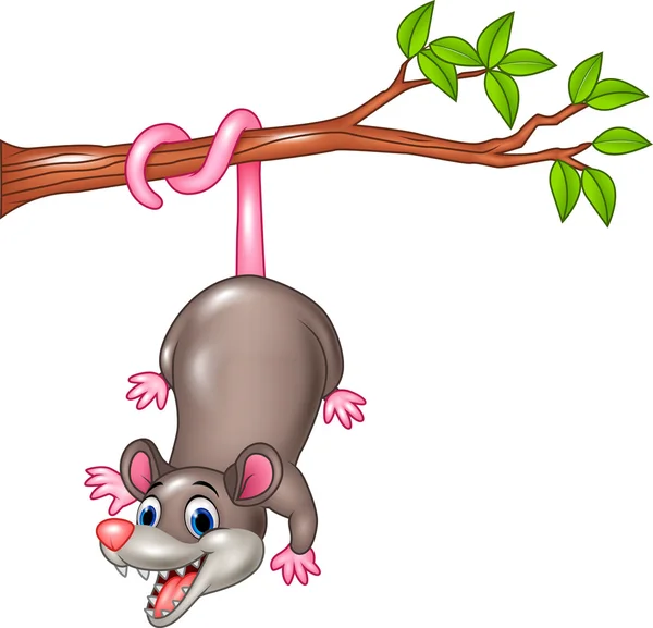 Cartoon funny Opossum on a Tree Branch — Stock Vector