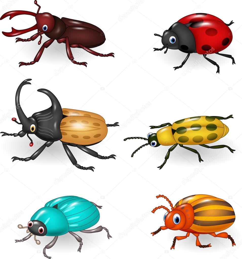Cartoon funny beetle collection