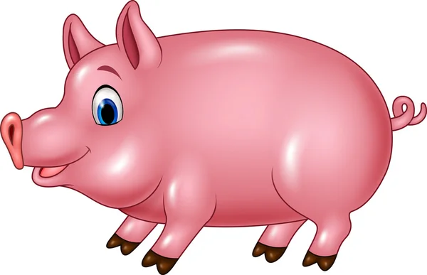 흰색 배경에 고립 된 귀여운 돼지 — 스톡 벡터