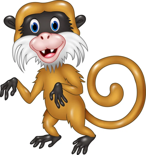 Cartoon engraçado tamarin macaco isolado no fundo branco — Vetor de Stock