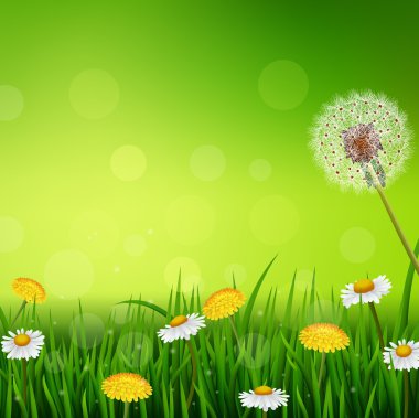 Güzel bahar ya da yaz mevsimi doğa arka planı