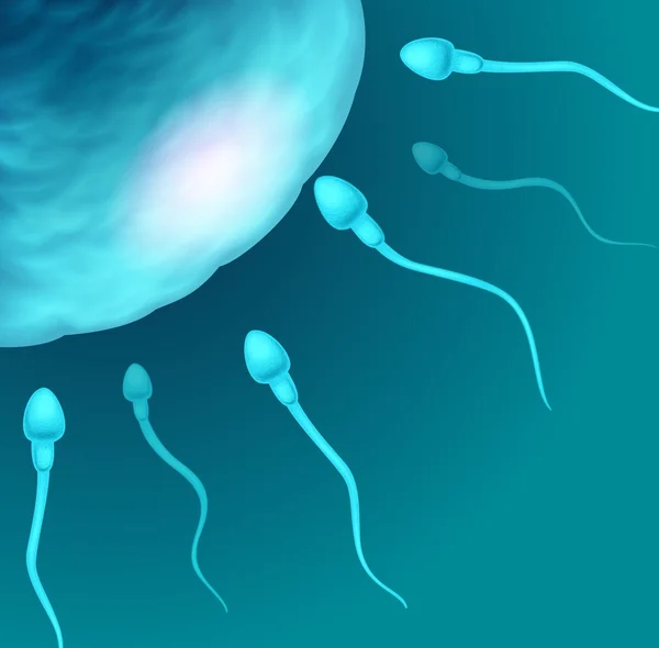 Ilustração de espermatozóides indo para o óvulo. Conceito de imagem de fecundação . —  Vetores de Stock