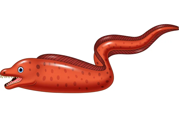 Illustration de l'anguille morale — Image vectorielle