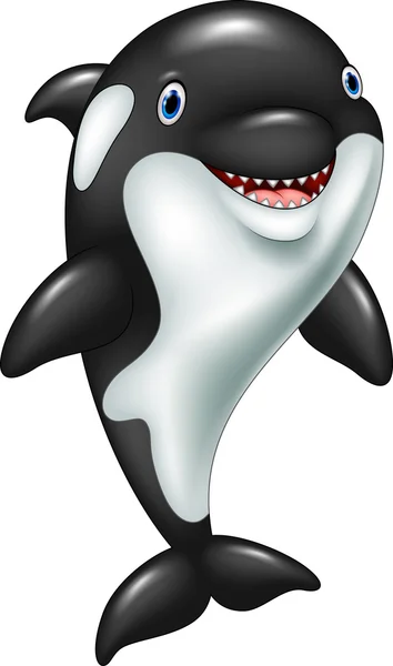 Cartoon funny killer whale standing — Stock Vector