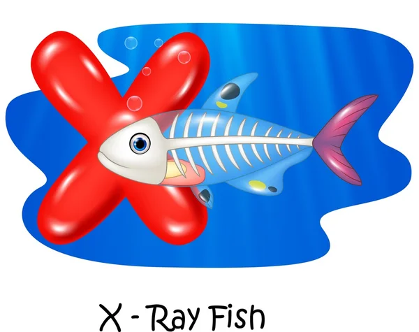 X-ışını balık mektubunun illüstrasyon X — Stok Vektör