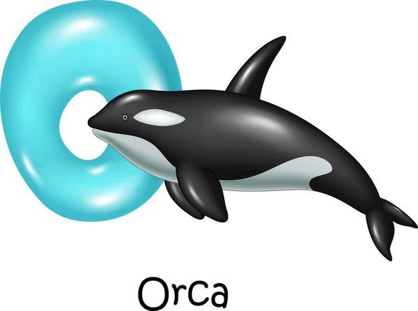 Illustrazione della lettera O per Orca — Vettoriale Stock