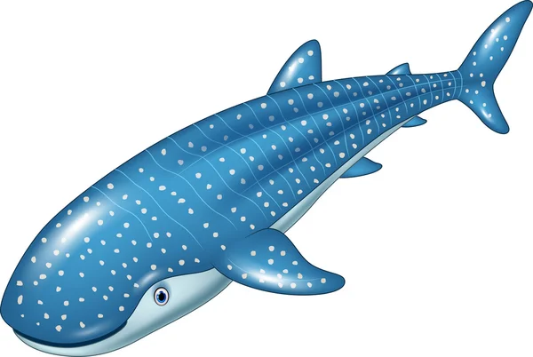 Dessin animé requin baleine isolé sur fond blanc — Image vectorielle