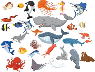 Cartoon sea animals isolated on white background clipart