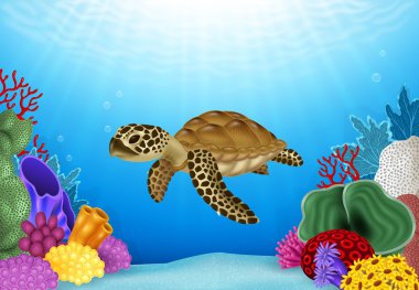 Kaplumbağa resmi güzel sualtı dünya ile
