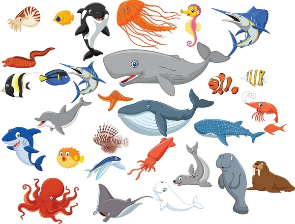 Animales marinos de dibujos animados aislados sobre fondo blanco — Vector de stock