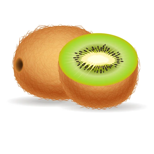 Kiwi frais isolé sur fond blanc — Image vectorielle