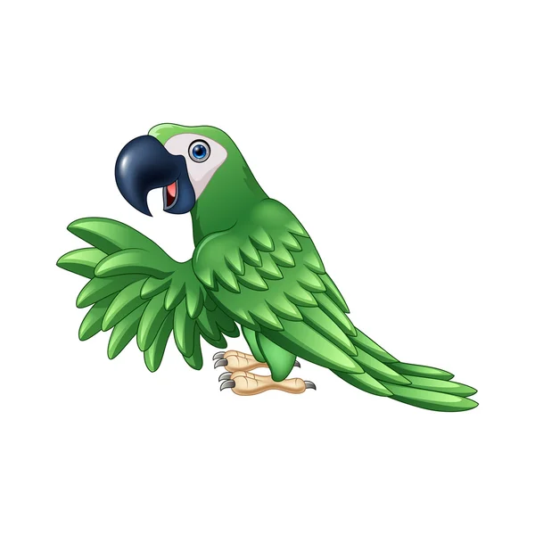 Cartoon green parrot — Stock Vector