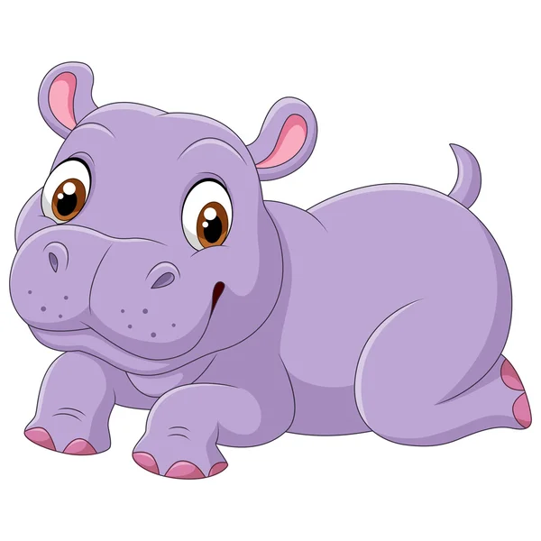 Schattige baby hippo geïsoleerd op witte achtergrond — Stockvector