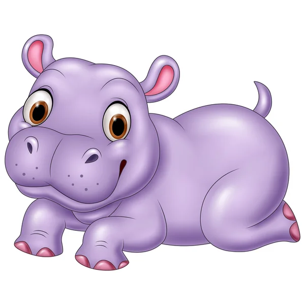Mignon bébé hippopotame isolé sur fond blanc — Image vectorielle
