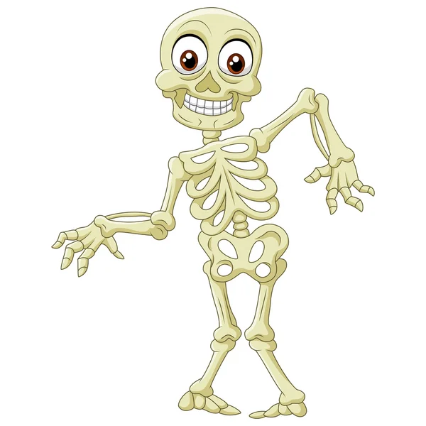 Halloween skeleton posing — Stock Vector