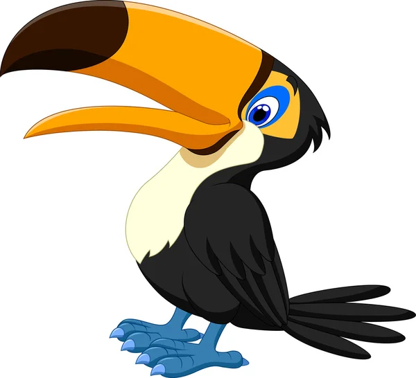 Happy toucan posing — Stock Vector