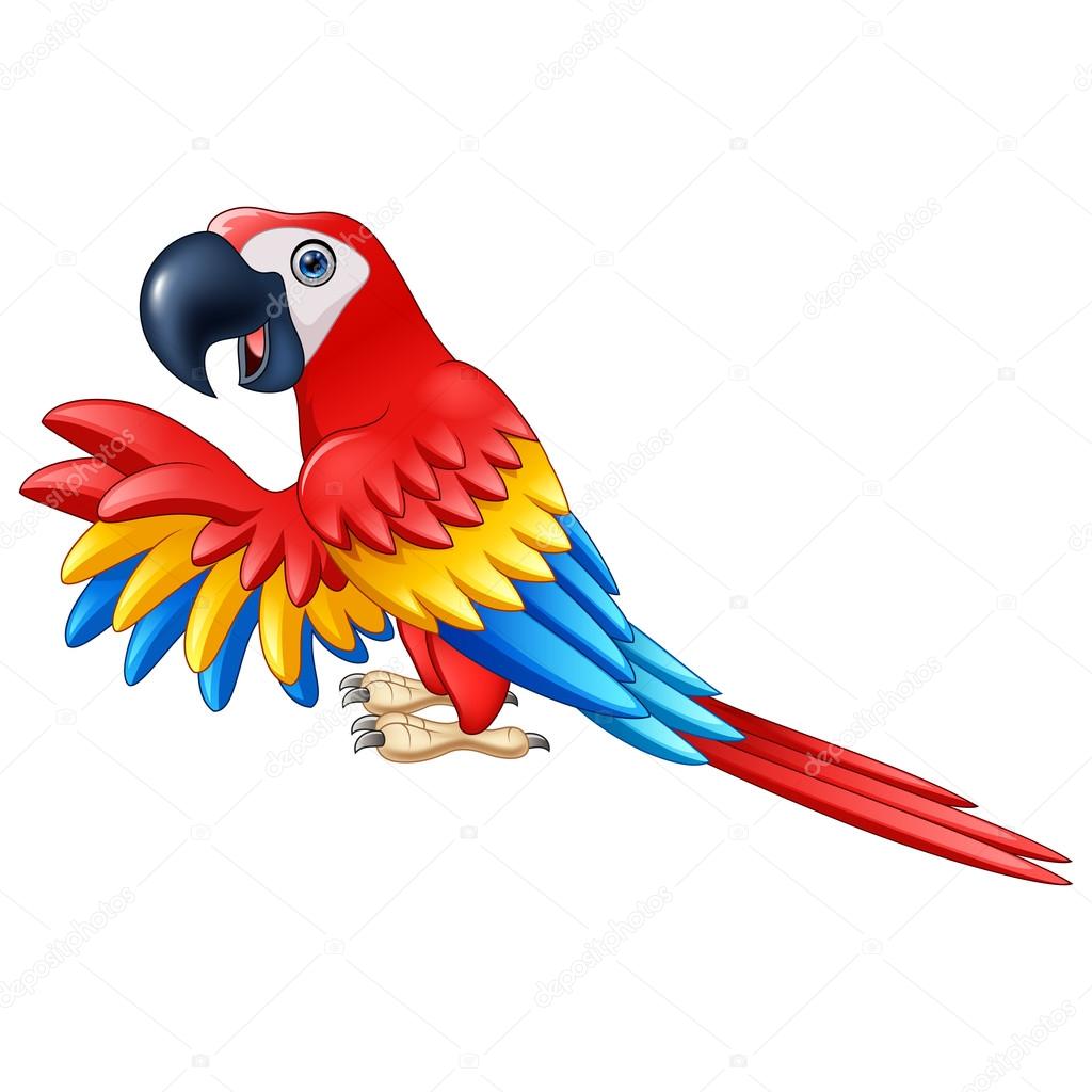 Cartoon funny macaw isolated on white background