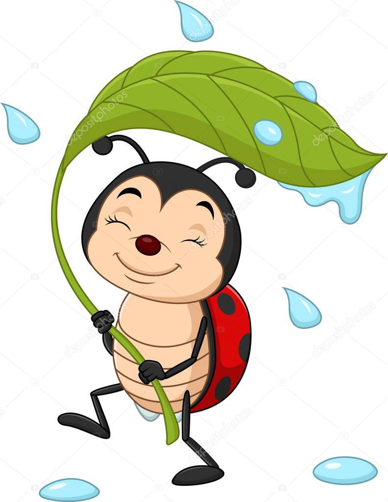 Vector illustration of Cartoon ladybug holding a green leaf