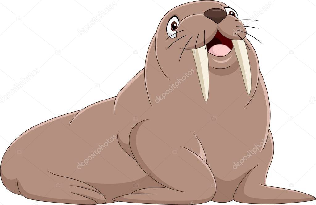 Vector illustration of Cartoon walrus isolated on white background