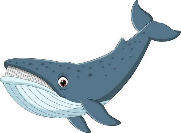 Vector Illustratie Van Cartoon Walvis Geïsoleerd Witte Achtergrond — Stockvector